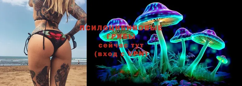 ссылка на мегу онион  Отрадная  Галлюциногенные грибы Psilocybe 